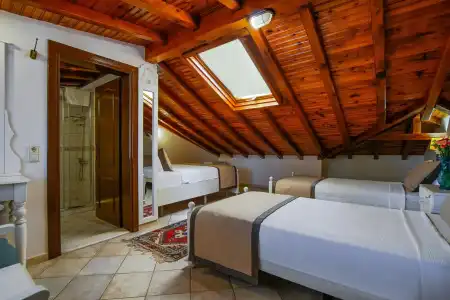 La Paloma - 16