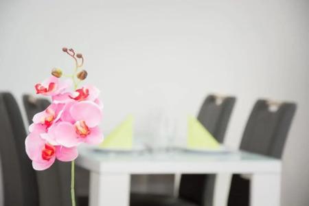 Ferienpark Winterberg - 90