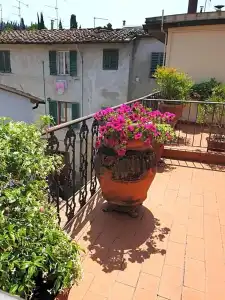 Giovanni da Verrazzano - 50