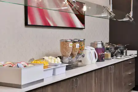 Residence Inn by Marriott Branson - 28