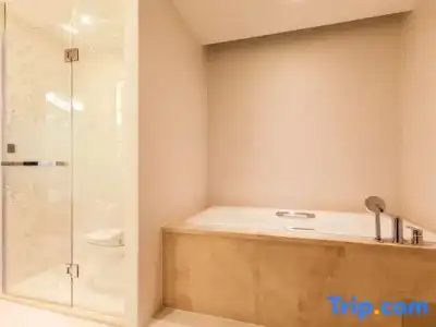 Hampton by Hilton Wuhan Tianhe Airport East - 113