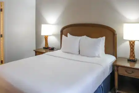 Hilton Vacation Club Polynesian Isles Kissimmee - 85