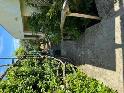 Agriturismo Piccolo Paradiso - 38