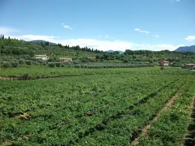 Agriturismo La Rocca - 21