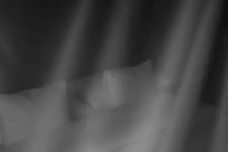 Mon Repos - 117