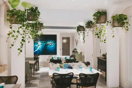 Spicers Potts Point - 19