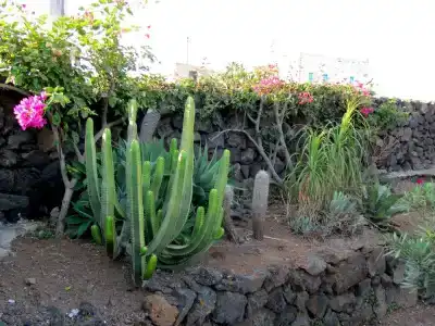 I Dammusini di Pantelleria - 71