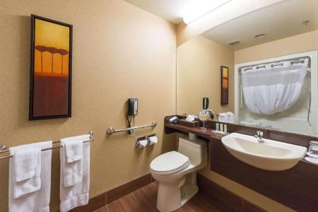 Quality Inn & Suites Levis - 50