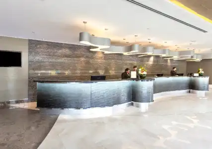 Pullman Singapore Orchard - 29
