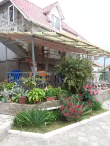Panorama - 1