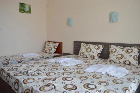Ray - 3
