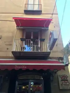 Starita Bed & pizza - 25