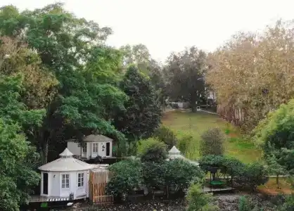 Vorona Resort - 52