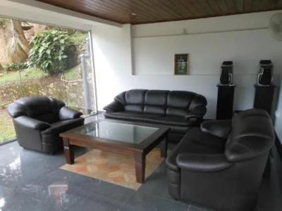 Lavender Hills - 1