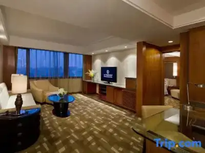 Beijing International - 138