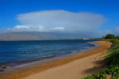 Kohea Kai Maui - 21