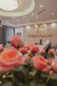 Ocean Dragon - 9