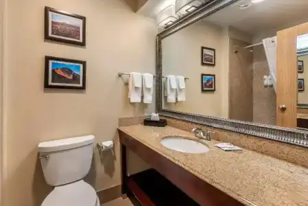 Comfort Inn & Suites Durango - 49