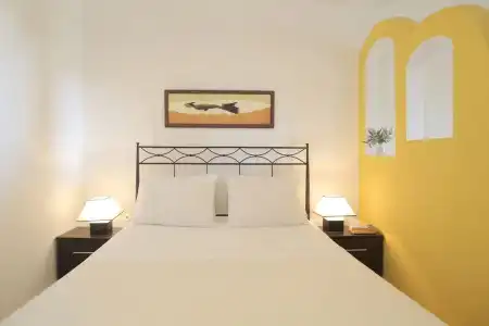 Yalis - 159