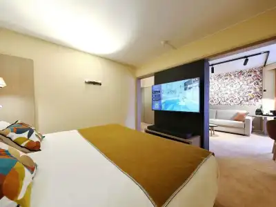 Mercure Grenoble Centre Porte des Alpes - 79