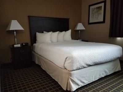 Americas Best Value Inn and Suites Bismarck - 4