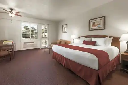 Palm Mountain Resort and Spa - 59