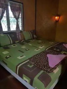 Sugar Cane Guest House 1 - 35