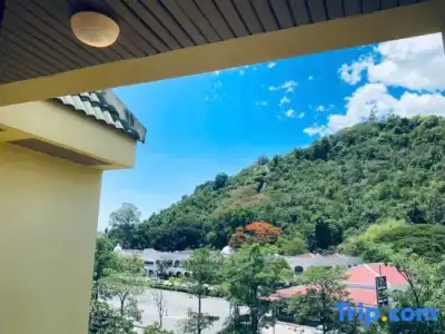 Sun - 100
