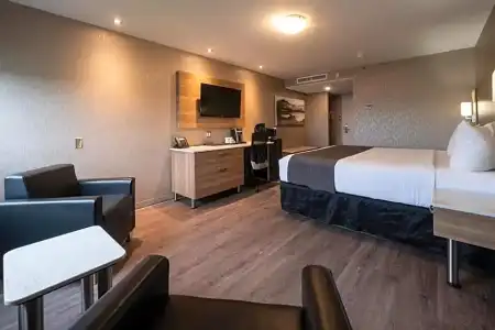 Hôtel & Suites le Dauphin Québec - 41