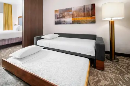 SpringHill Suites Scottsdale North - 51