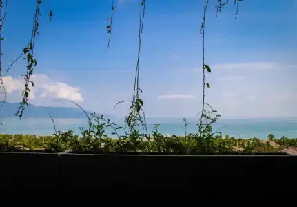 Fansipan Danang - 27