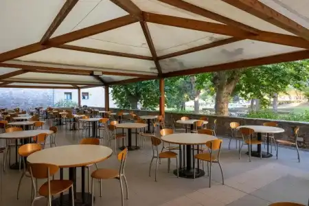 Pugnochiuso Resort - Degli Ulivi - 21