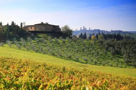 Agriturismo Montegonfoli - 57