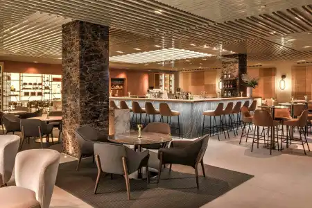 The Ritz-Carlton, Vienna - 28