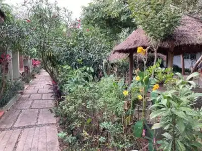 Sanssouci Kep - 11
