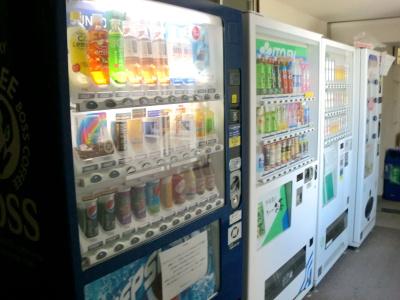 Kochi Green Harimayabashi - 11