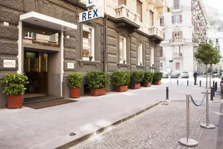 Rex Lifestyle - 0