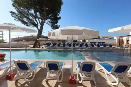 Clumba - 23