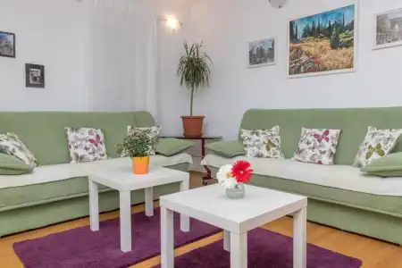 Apartments Vojin - 219