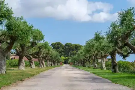Mas la Boella - 28