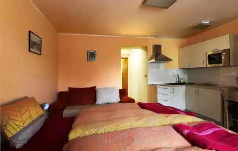 Pension Zelený strom - 8