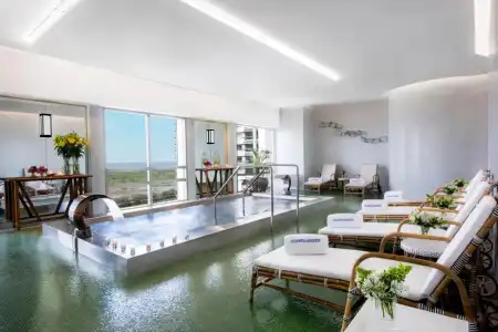 Alvear Icon - 20