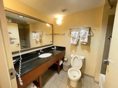 Comfort Suites Fredericksburg North - 91