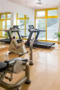 Best Western Premier Grand Russischer Hof - 21