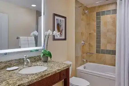 Sheraton Vistana Villages Resort Villas, I-Drive/Orlando - 92