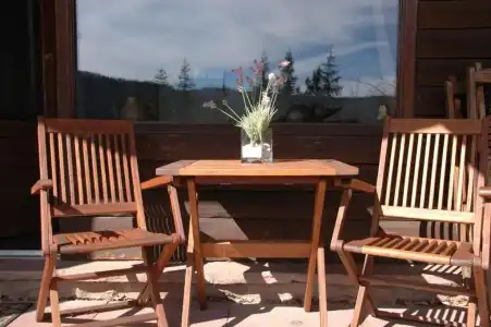 Pension Haus Diefenbach - 81