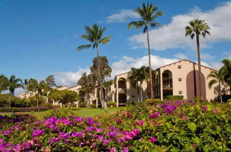 Aston Maui Hill - 38