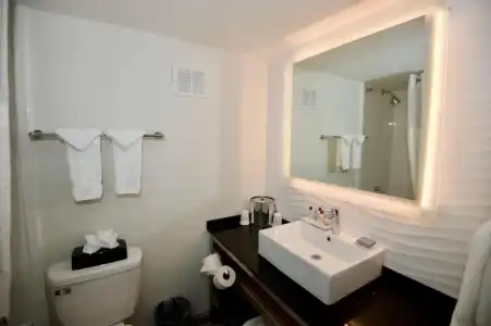 Ramada by Wyndham Austin South - 33