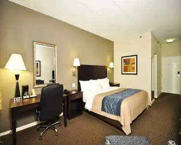 Comfort Inn Sandusky - 50