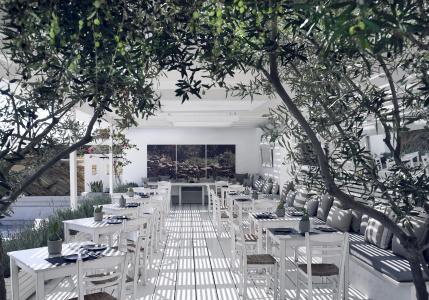 Ios Palace & Spa - 22